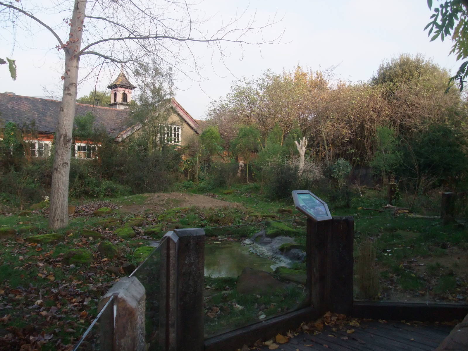 Giant Tortoise Paddock at London, 16/11/11