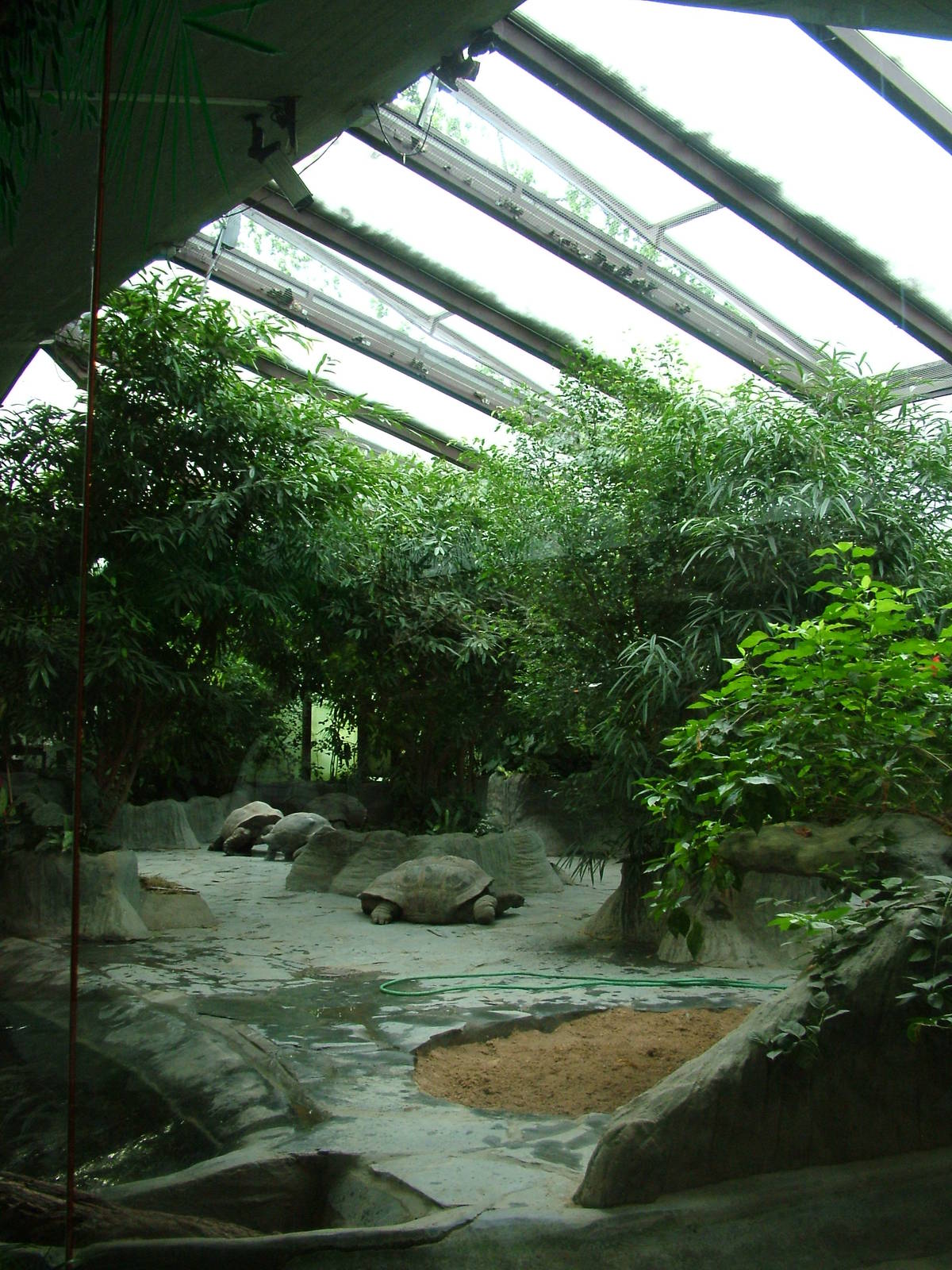 Giant Tortoise Pavilion at Prague, 24/05/10