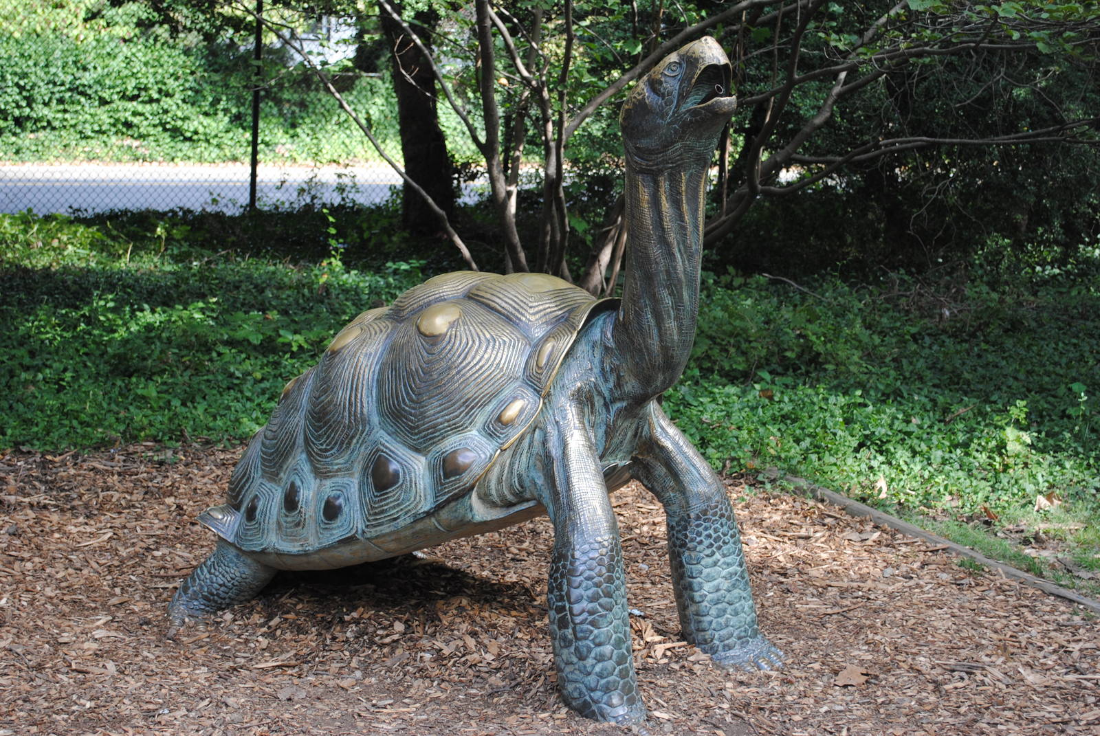 Giant Tortoise Statue