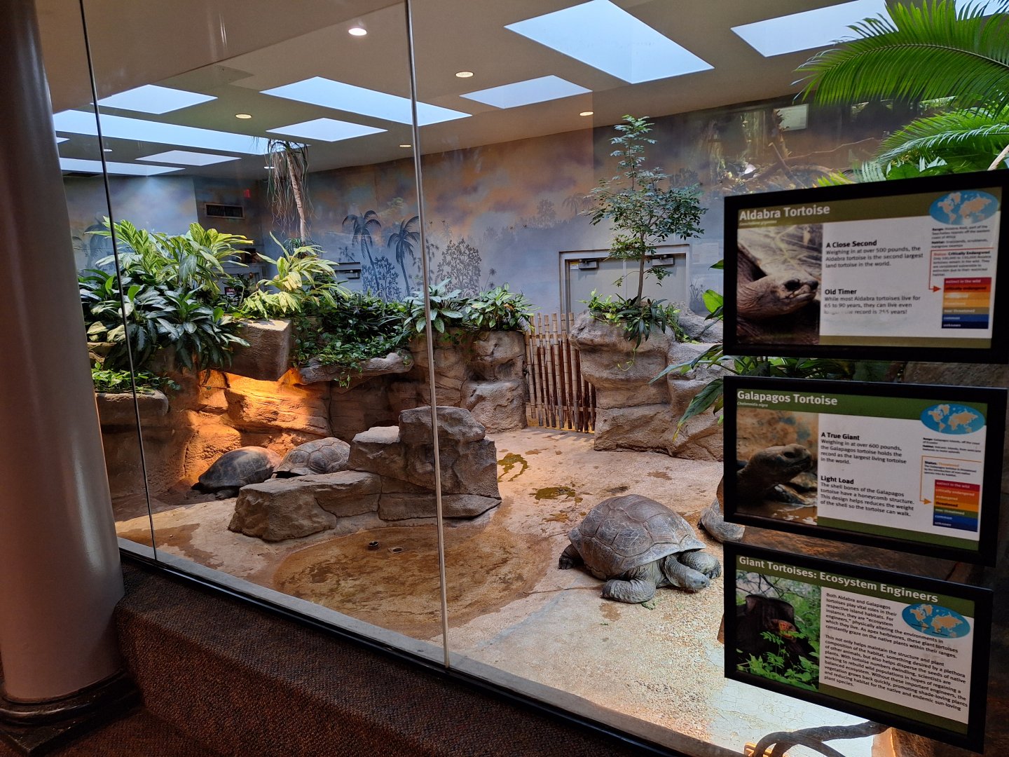 Giant tortoises signage