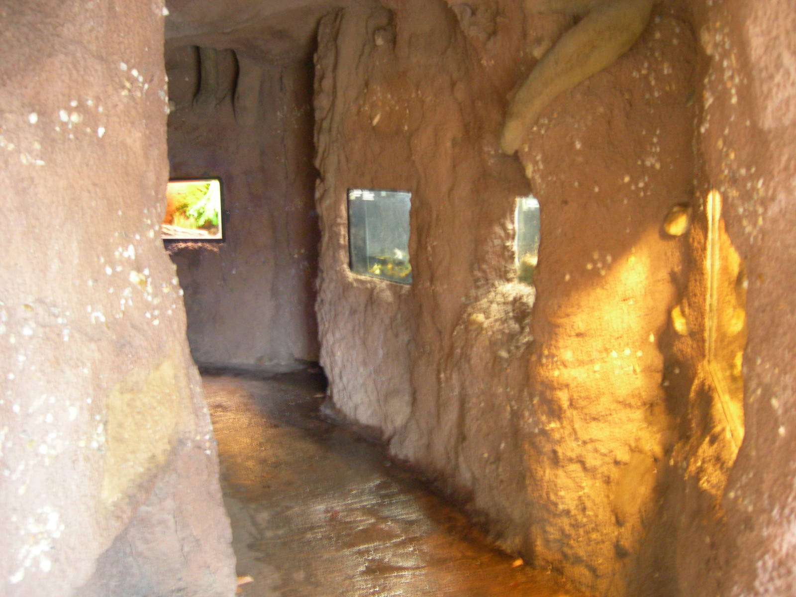 Giant Tree Slide Exhibits