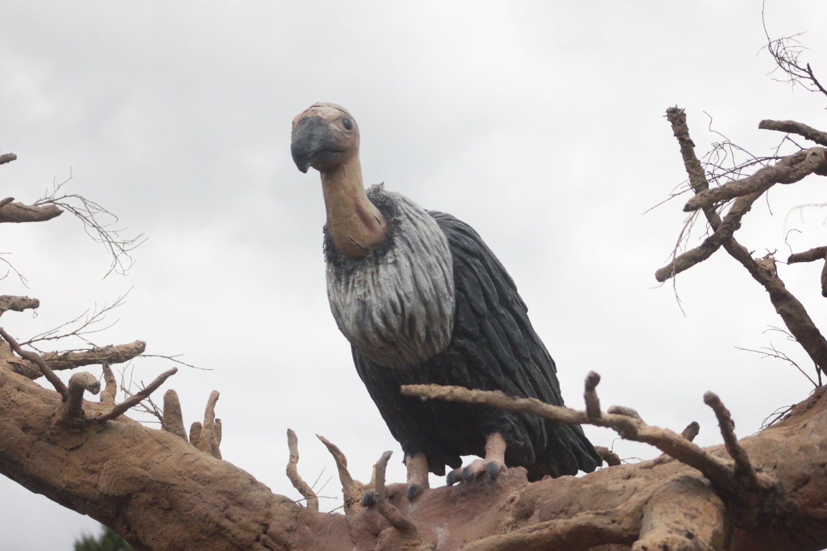 Giant vulture decoration