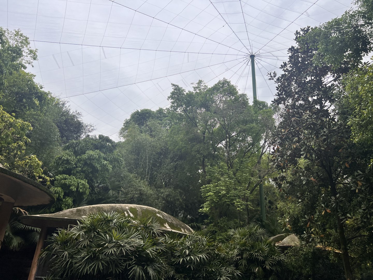 Giant Walkthrough Aviary