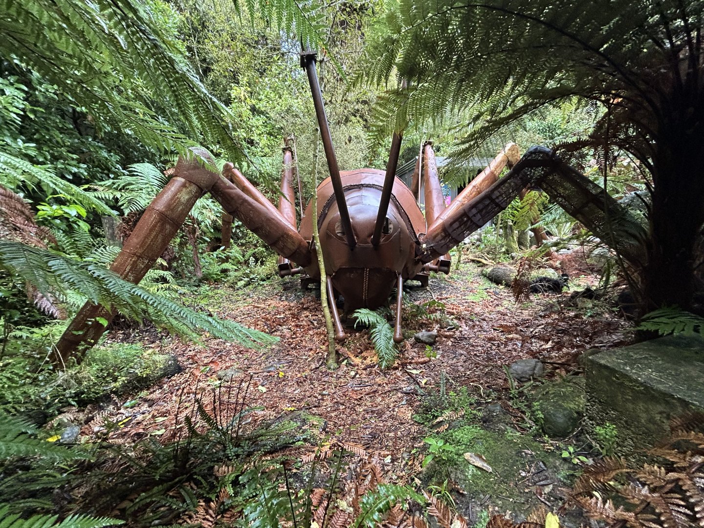 Giant Weta Sculpture