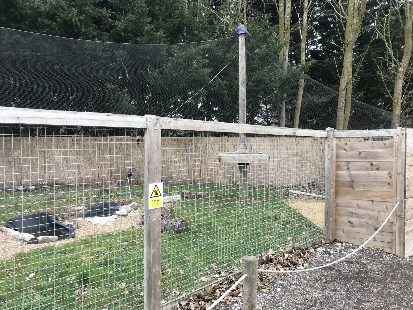 Giant wood-rail exhibit 241118