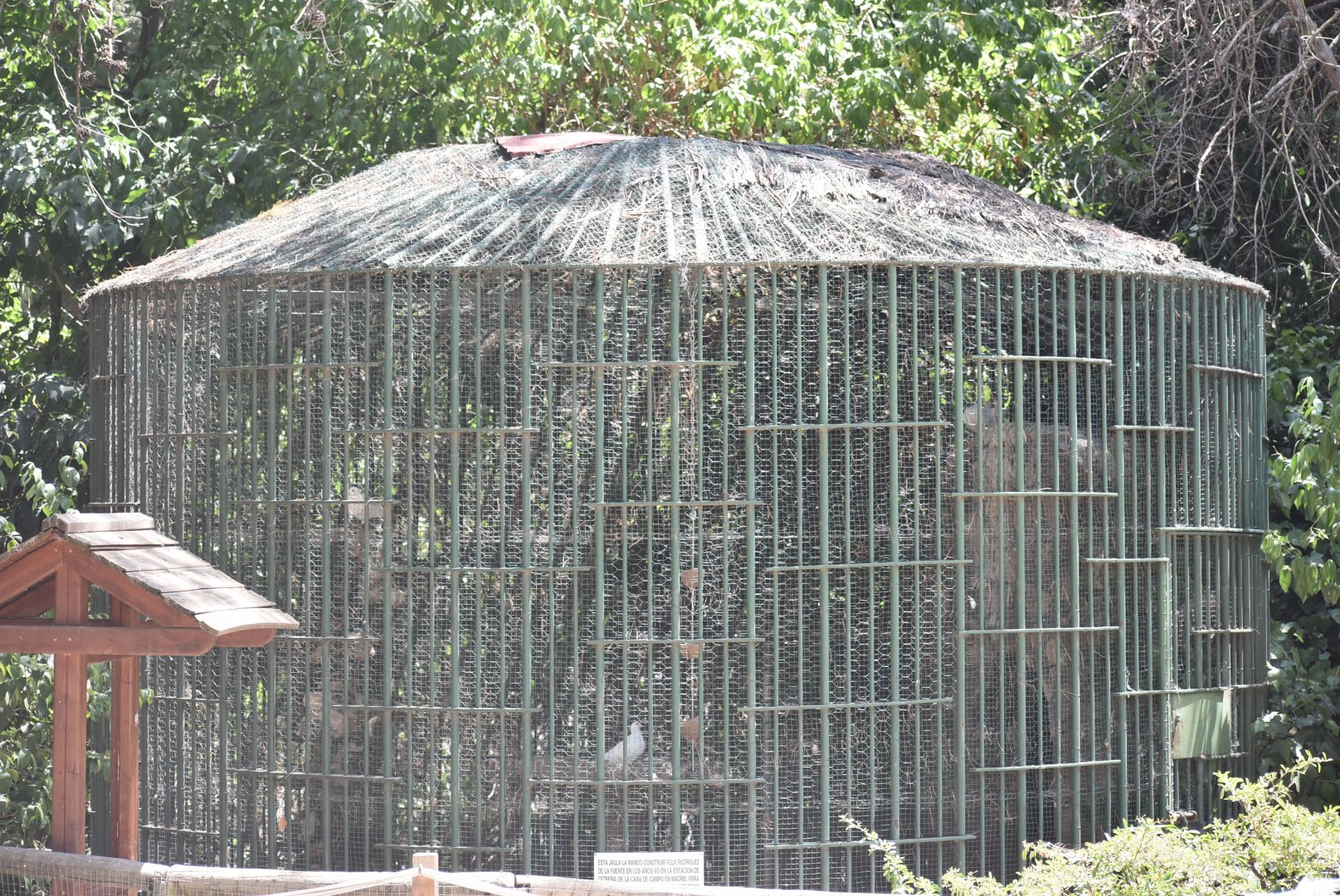 Giant wood-rail/Sacred ibis aviary