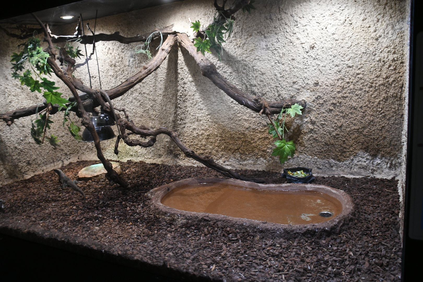 Giant Zonosaurus tank (Reptile House)