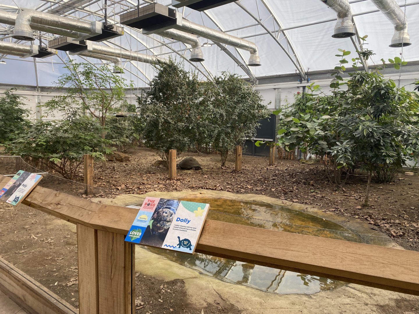 Giants of the Galapagos 180322