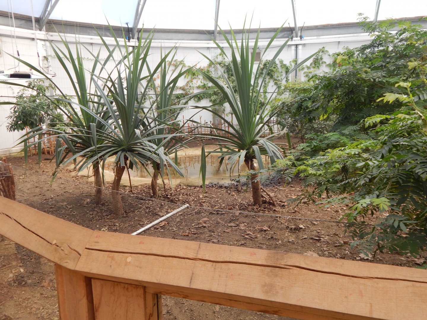 Giants of the Galapagos 180322