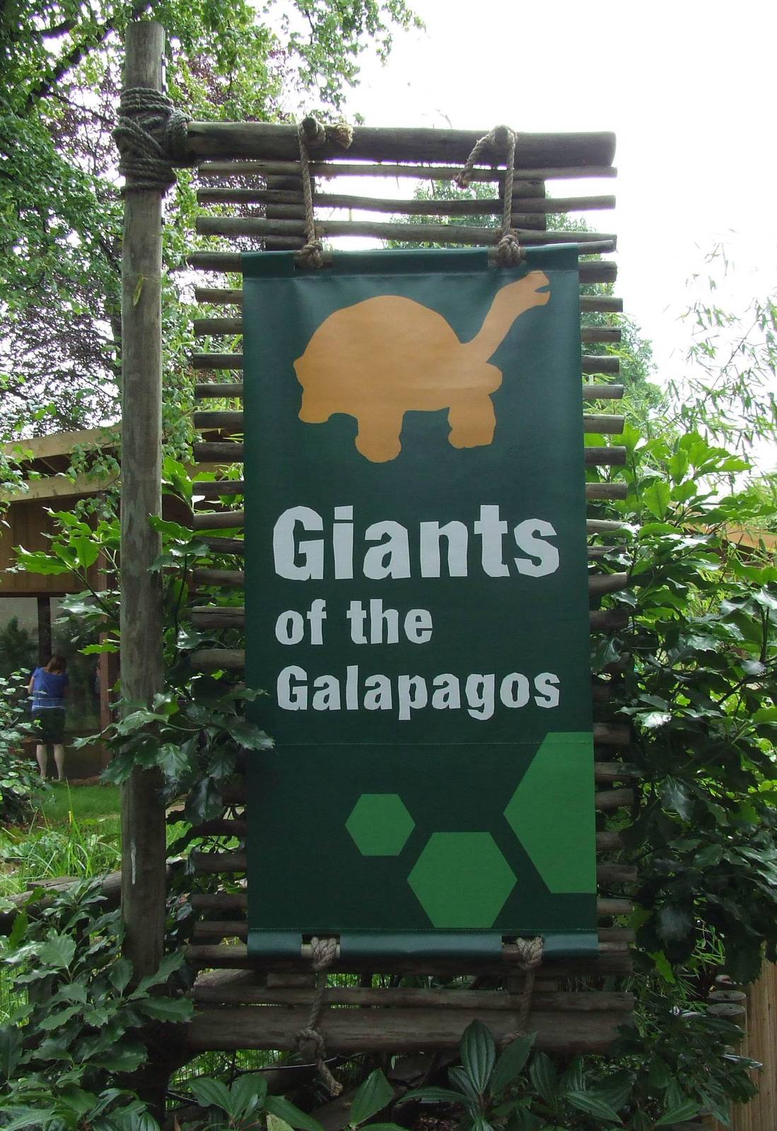 Giants of the Galapagos exhibit photos
