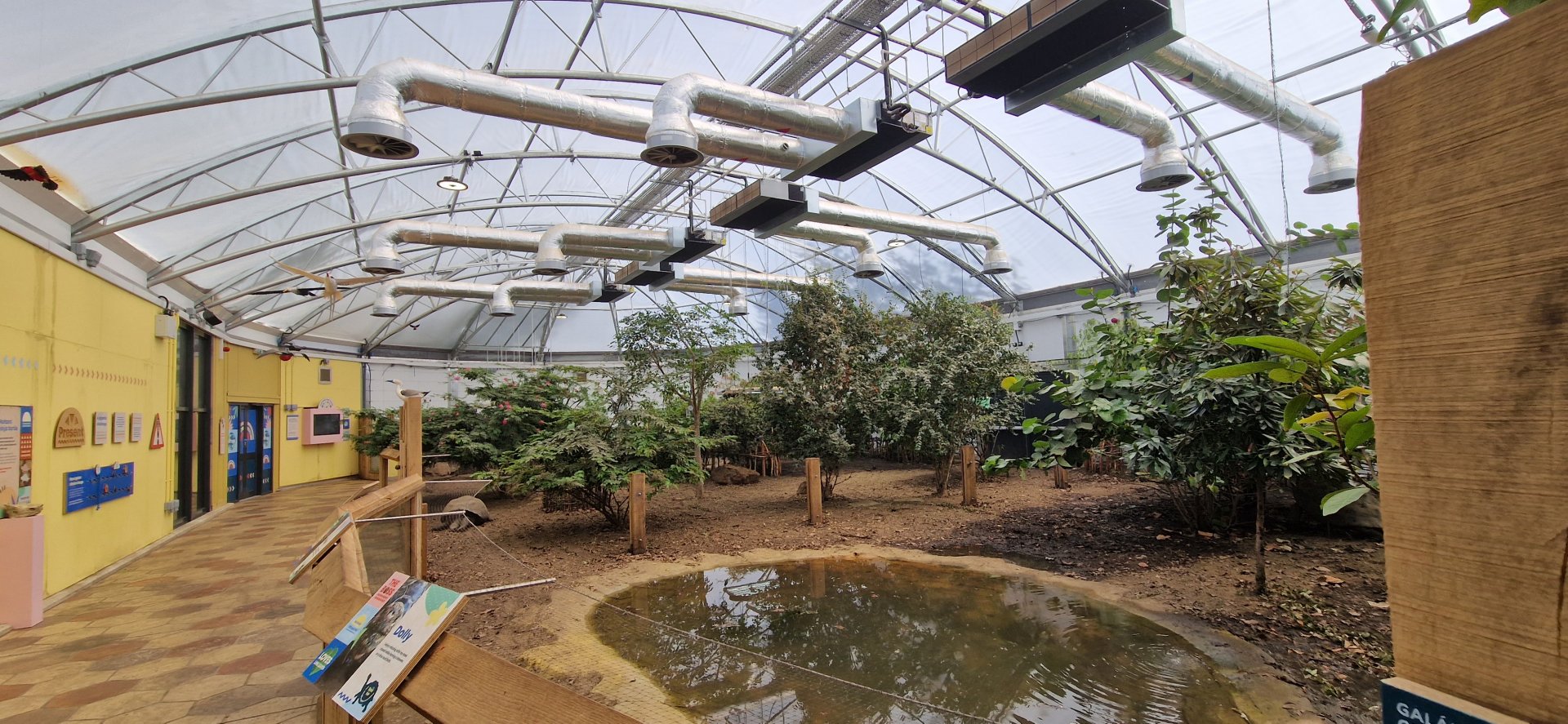 Giants of the Galapagos