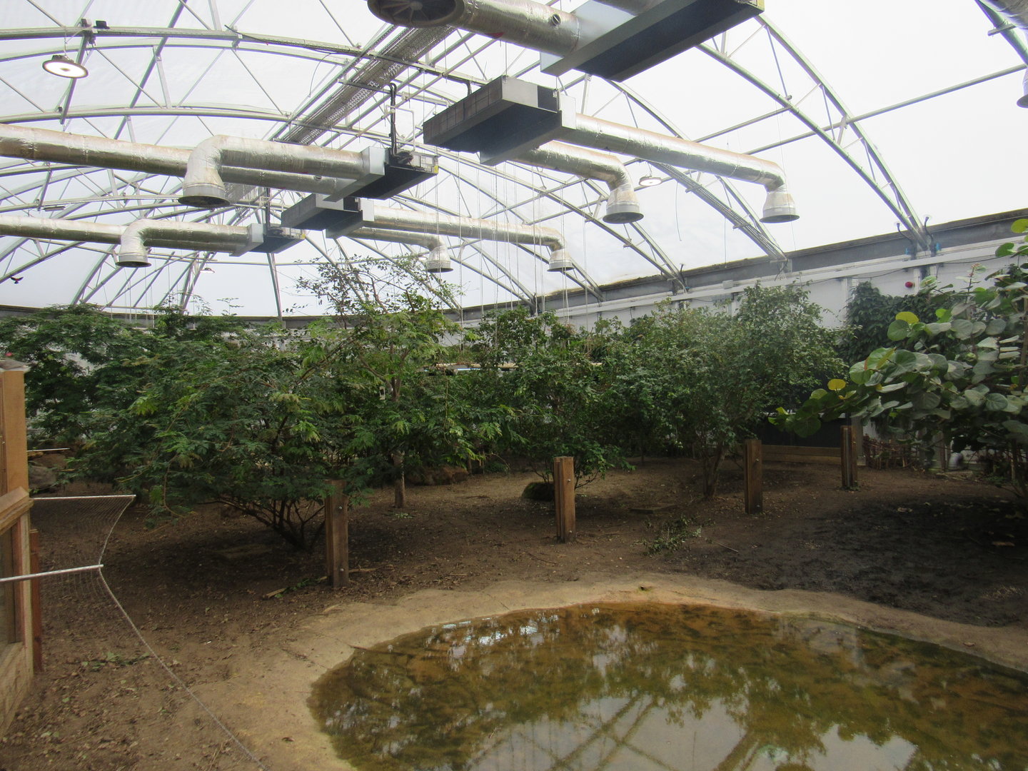 Giants of the Galapagos