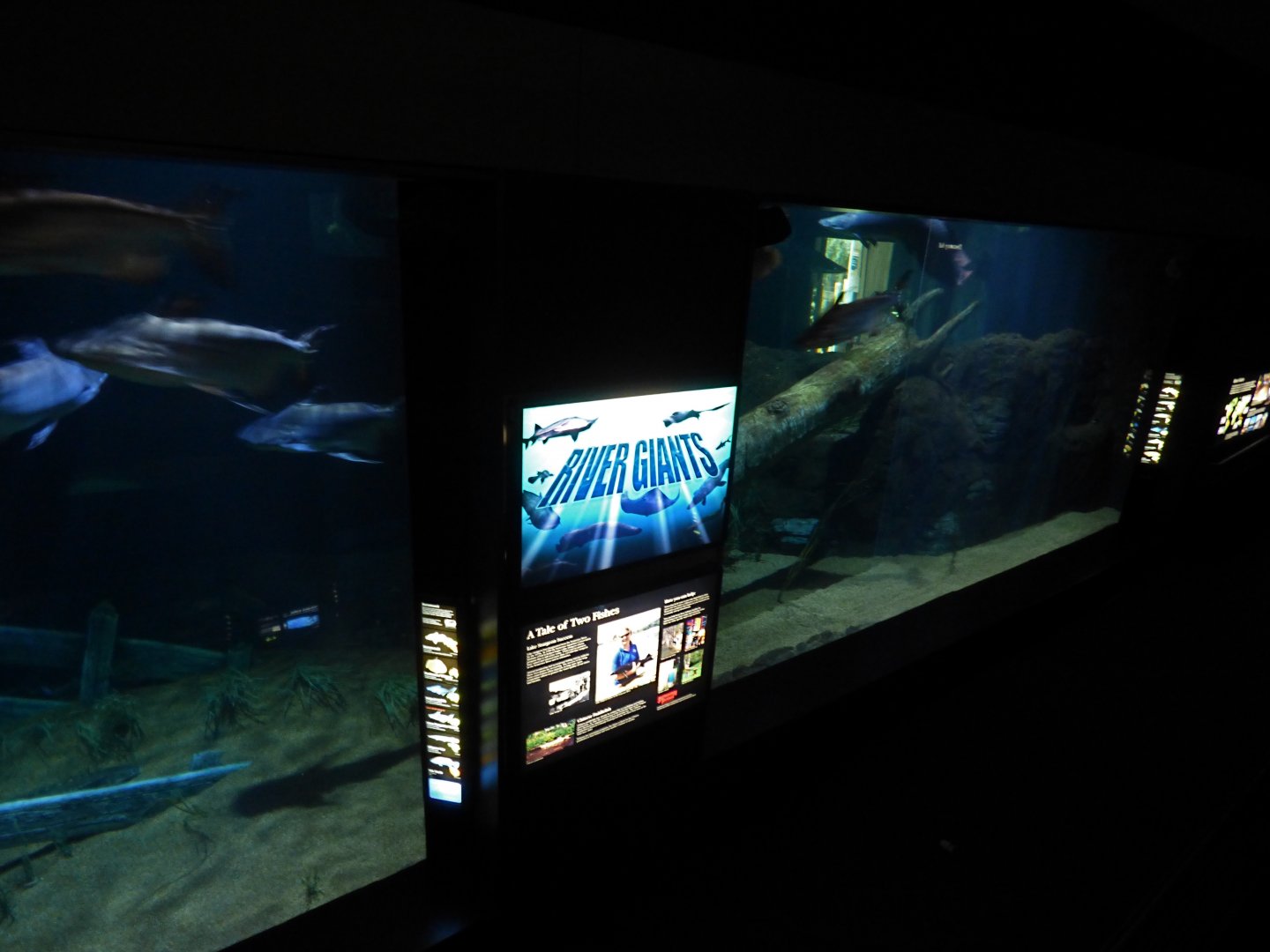 Giants of the River - May 2018