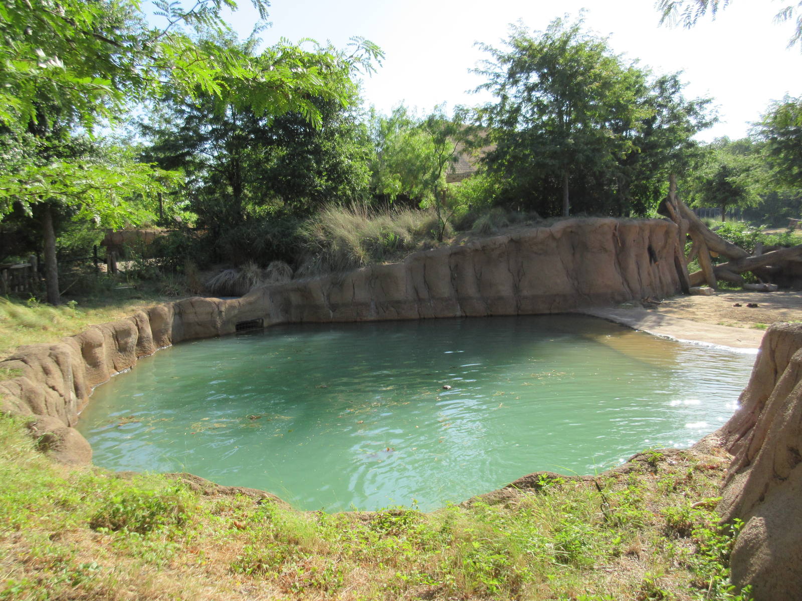 Giants of the Savanna - African Elephant Pool