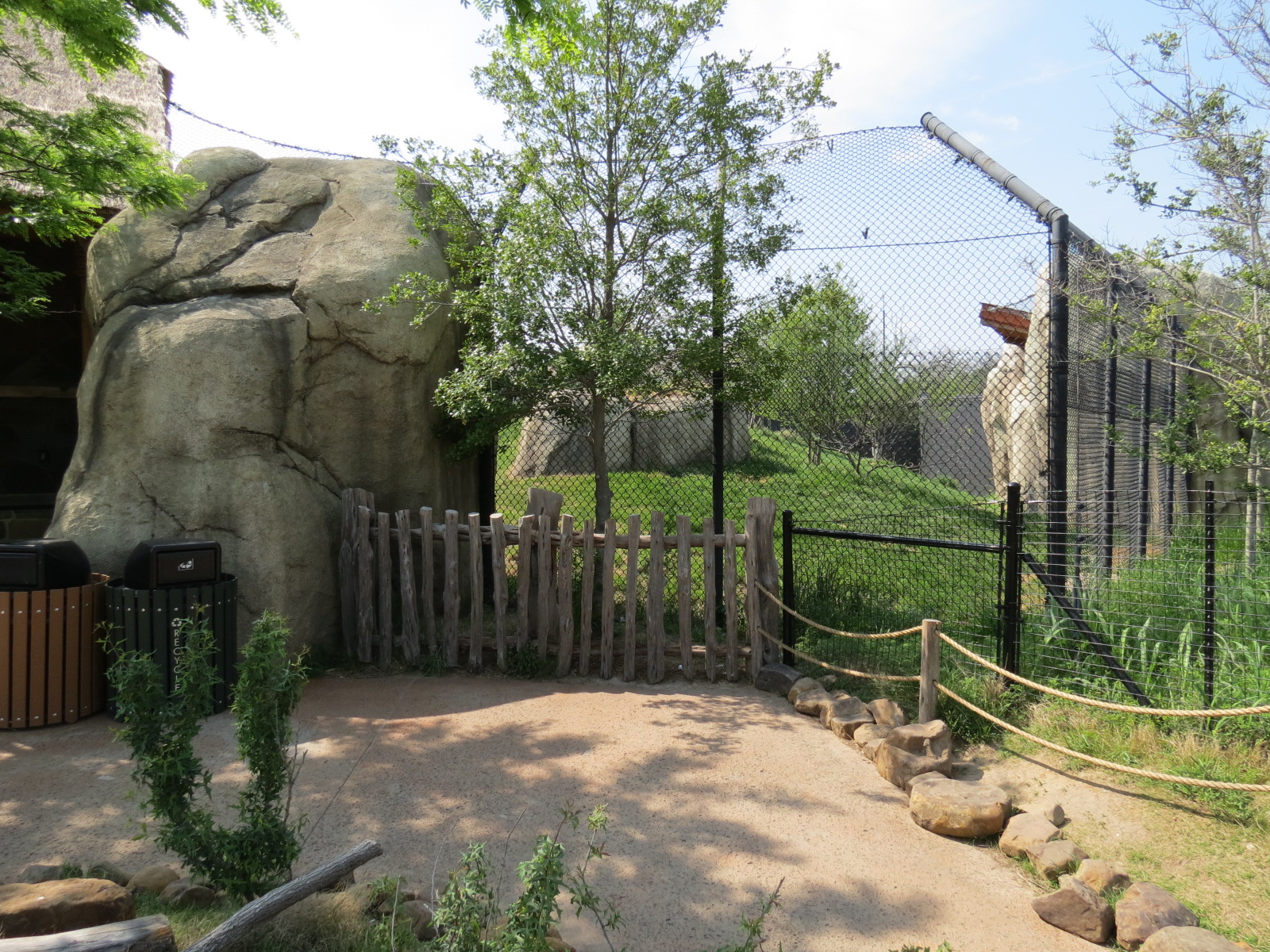 Giants of the Savanna - African Lion Exhibit