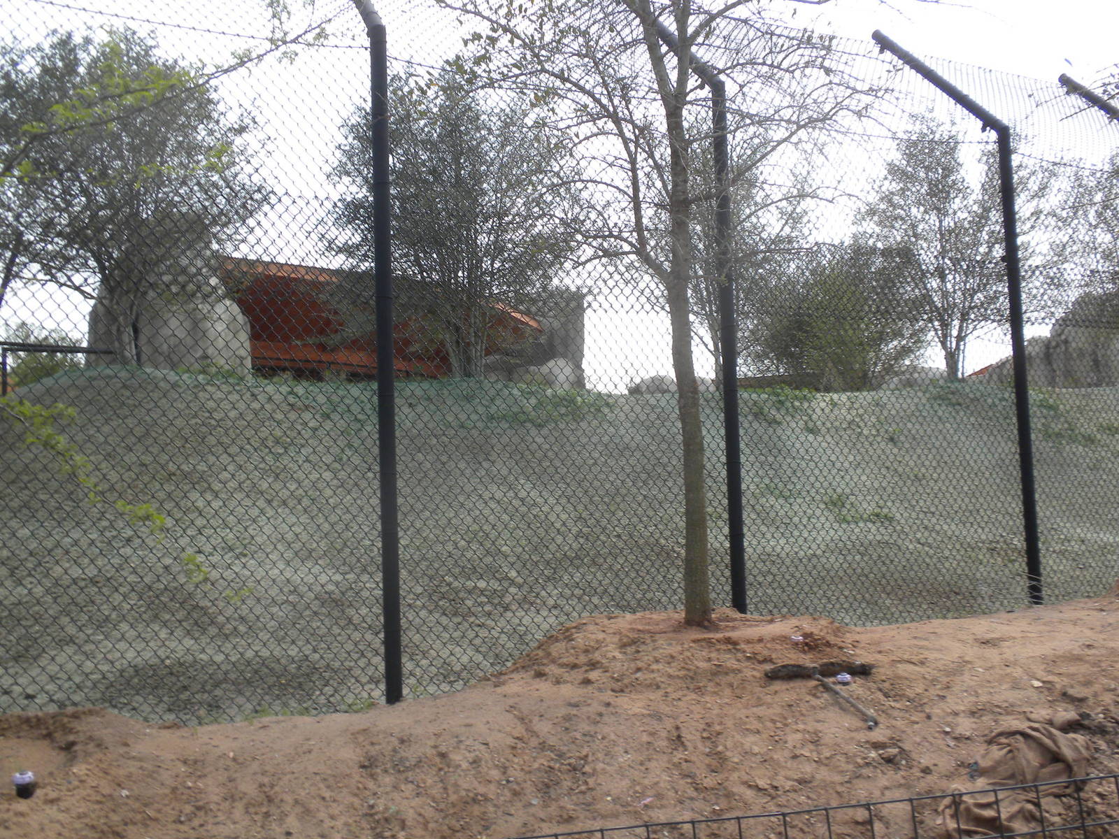 Giants of the Savanna - back of Cheetah exhibit