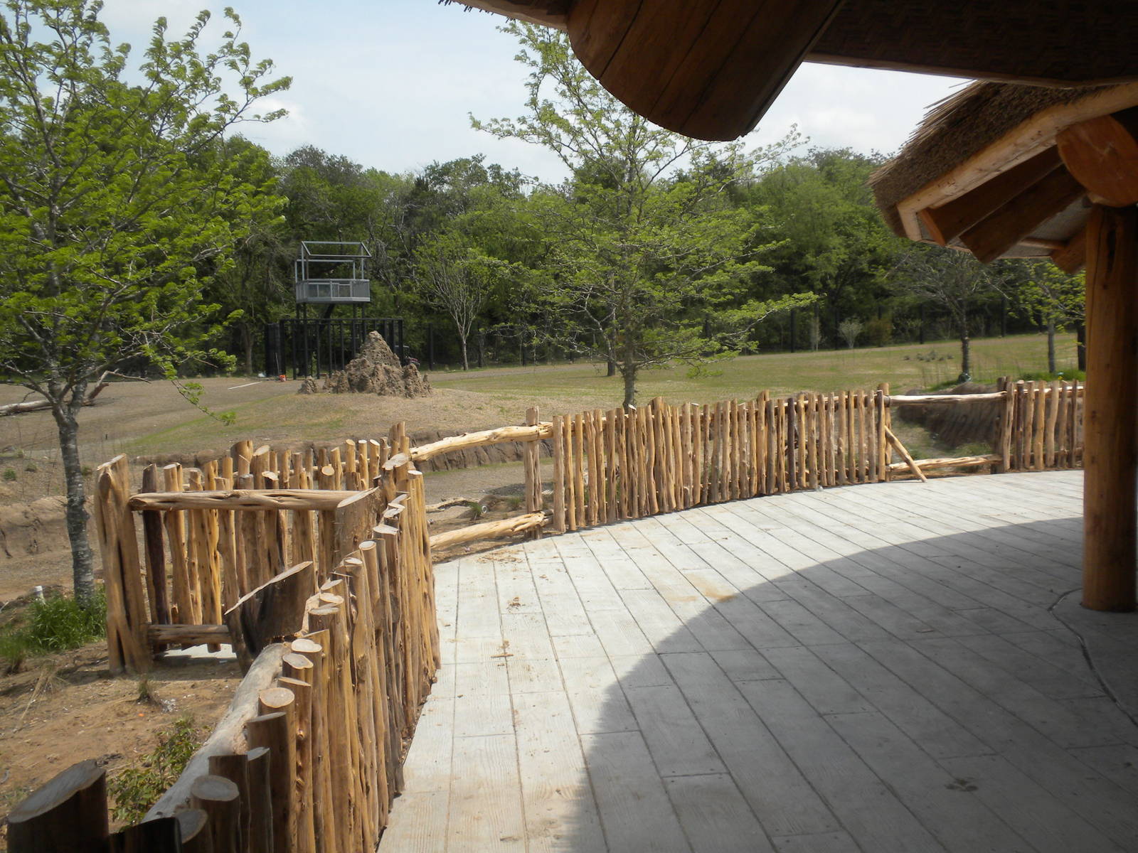 Giants of the Savanna - Base Camp