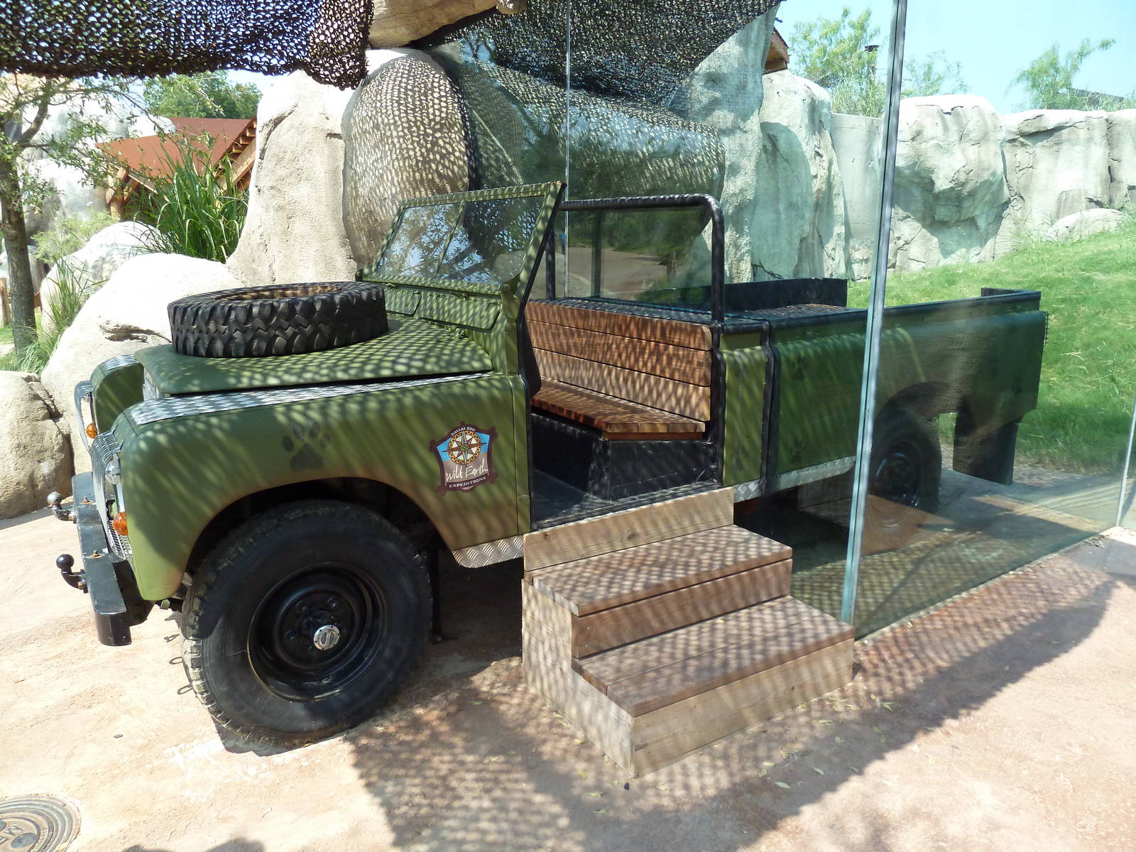 Giants Of The Savanna - Cheetah Exhibit