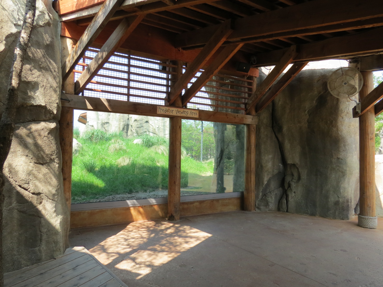 Giants of the Savanna - Cheetah Exhibit