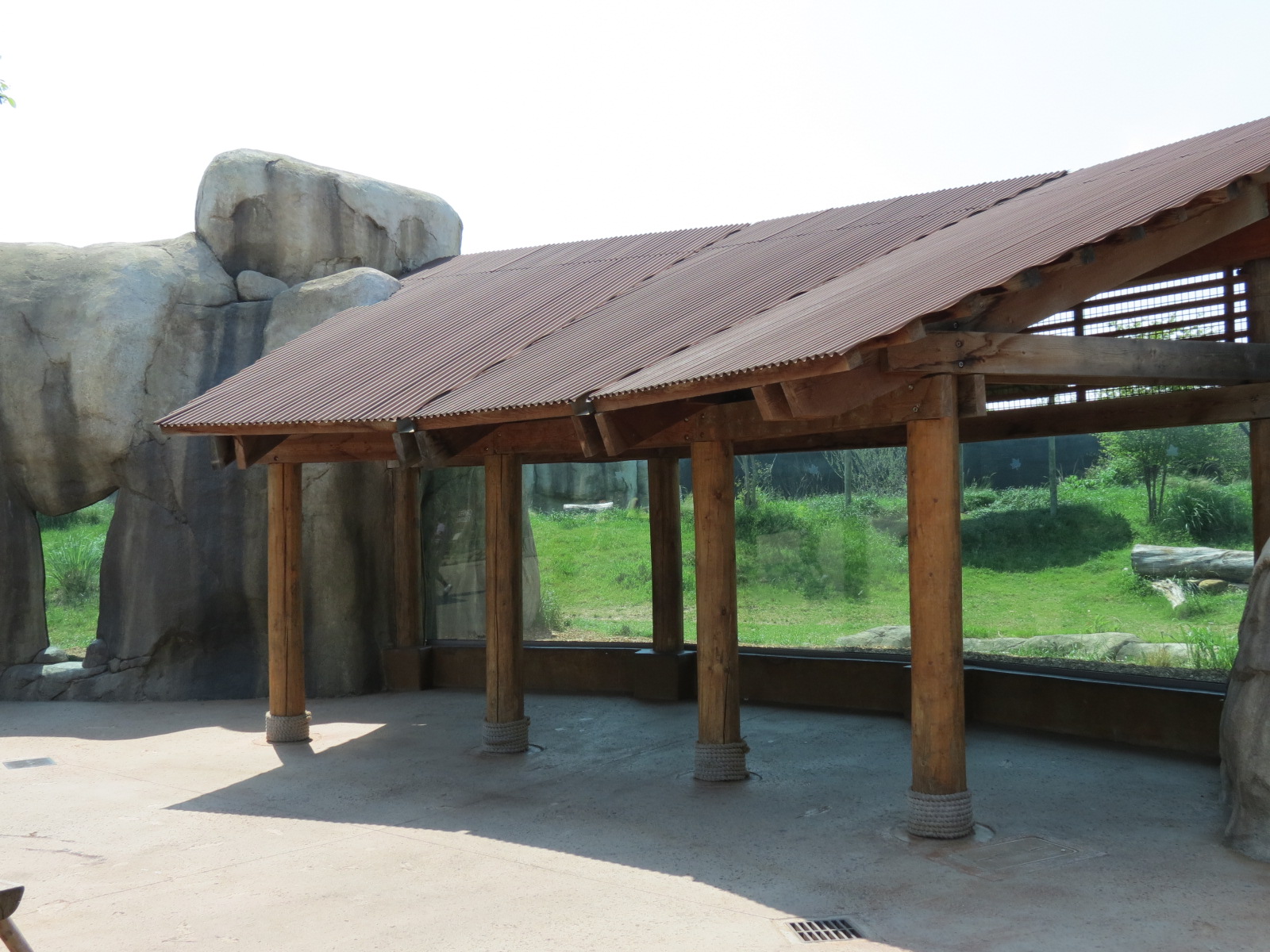 Giants of the Savanna - Cheetah Exhibit