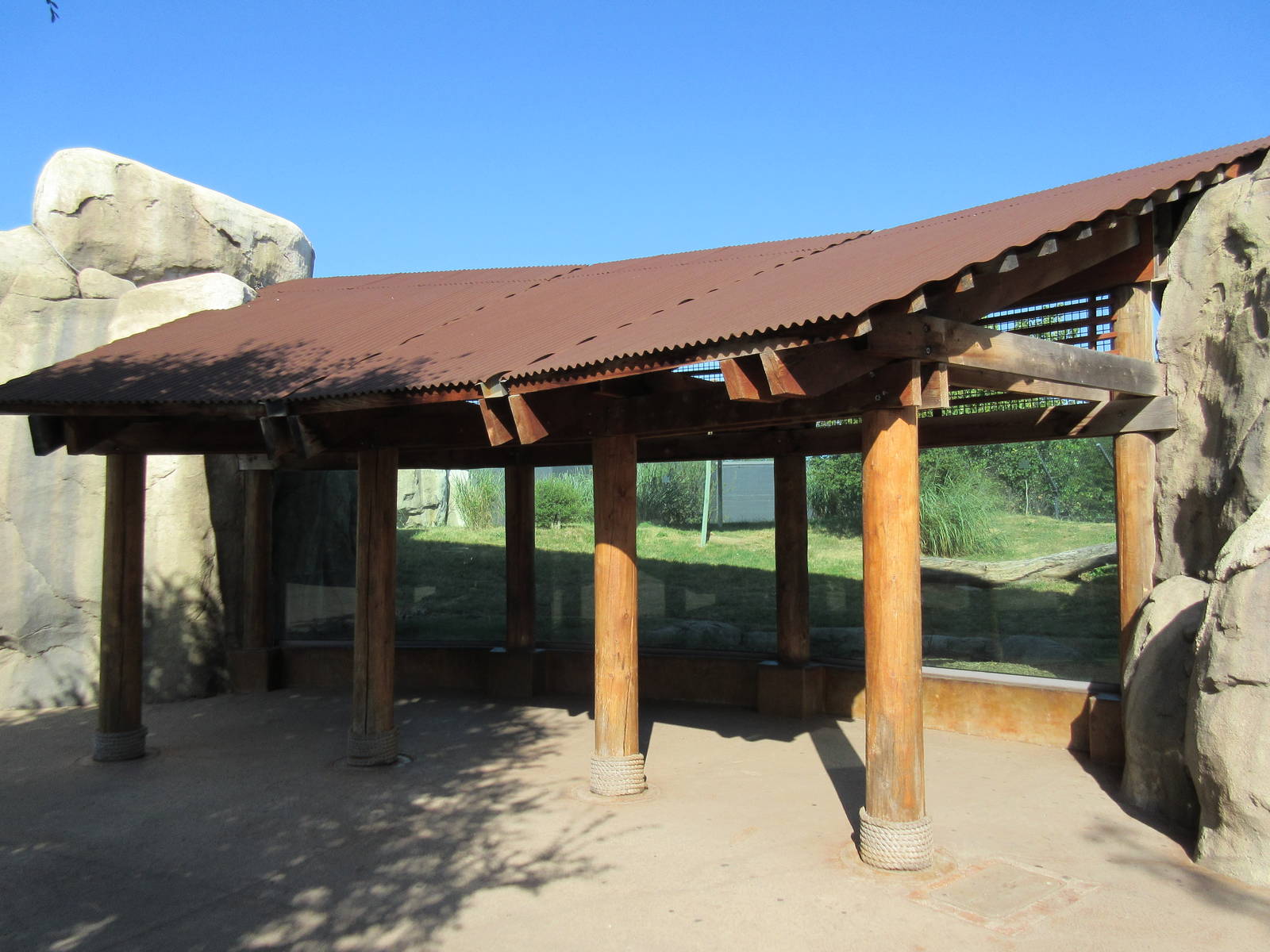 Giants of the Savanna - Cheetah Exhibit