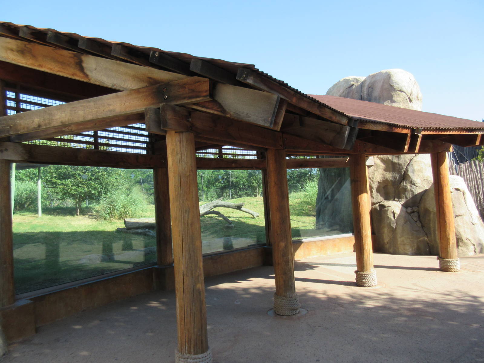 Giants of the Savanna - Cheetah Exhibit
