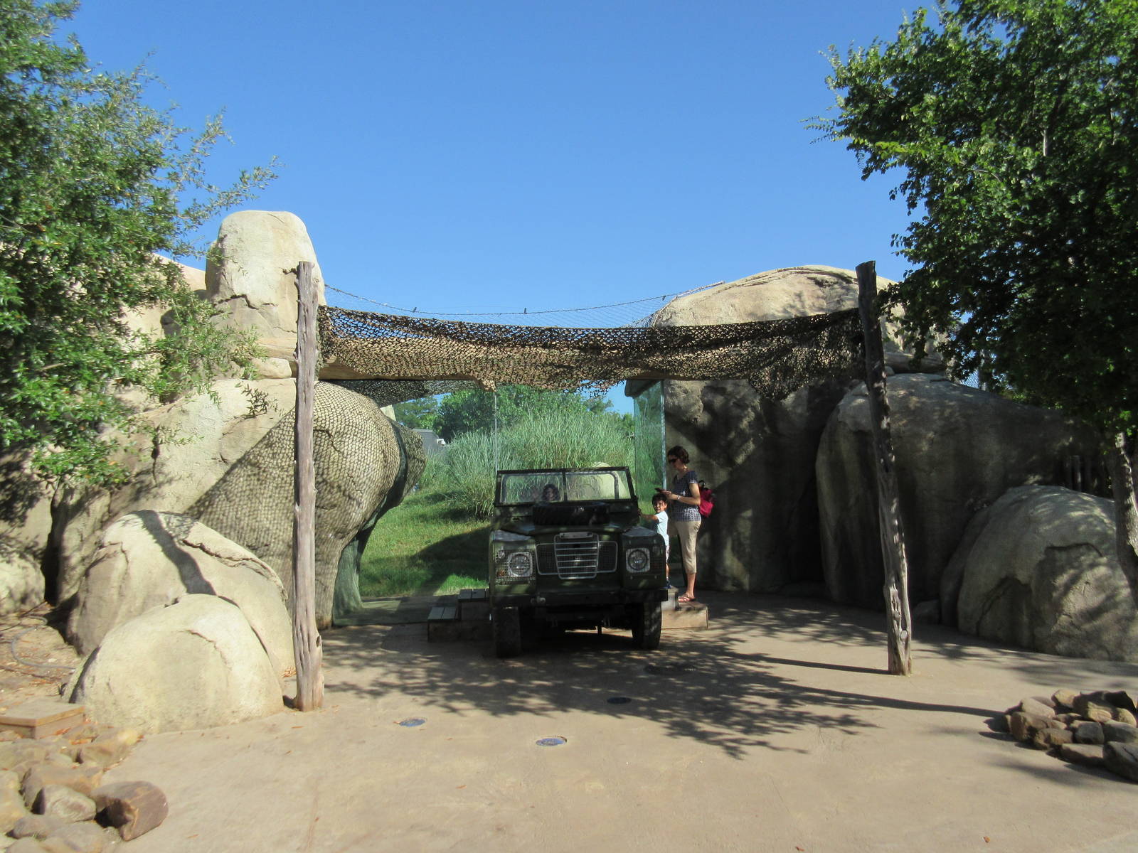 Giants of the Savanna - Cheetah Exhibit