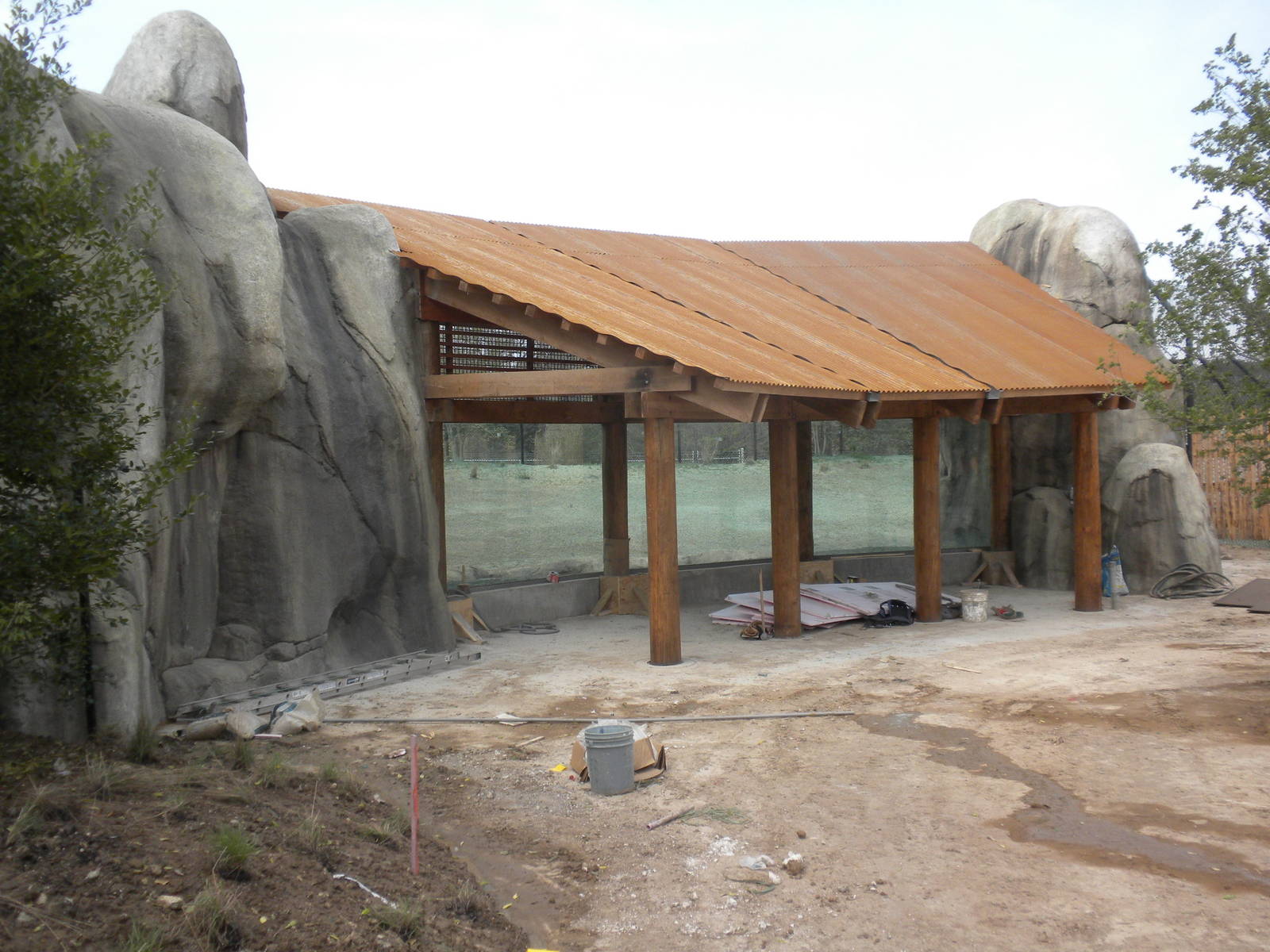 Giants of the Savanna - Cheetah exhibit