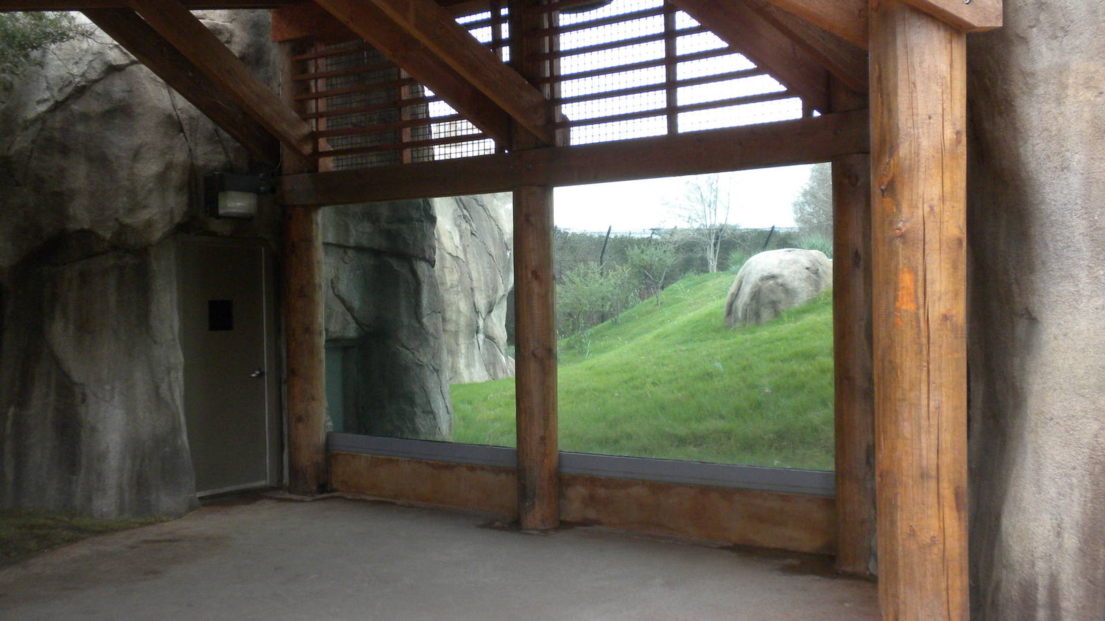 Giants of the Savanna - Cheetah viewing