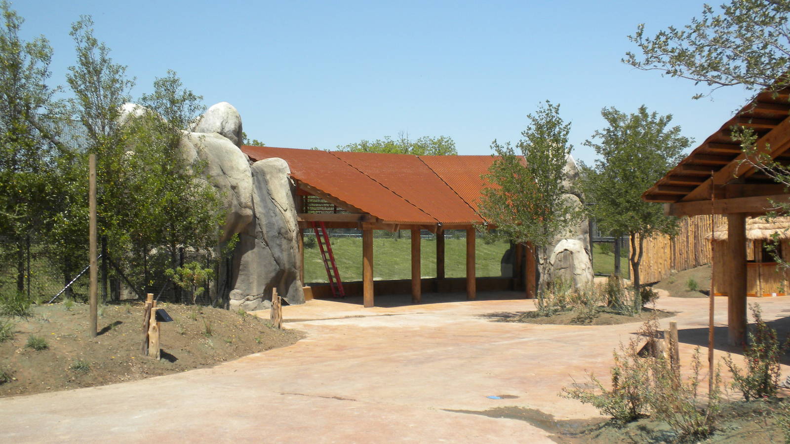 Giants of the Savanna - Cheetah viewing
