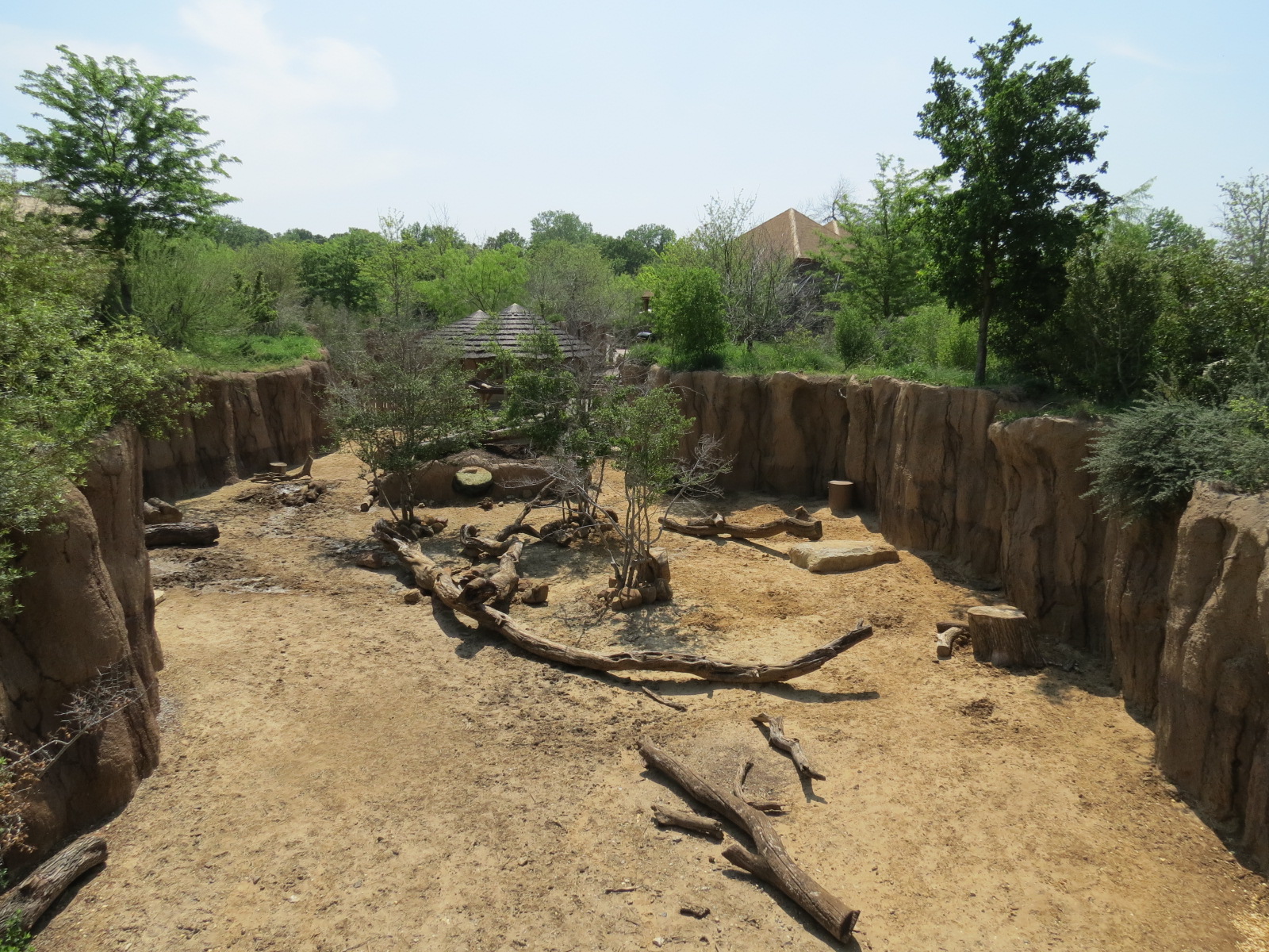 Giants of the Savanna - Donga 1 (Warthog Exhibit)