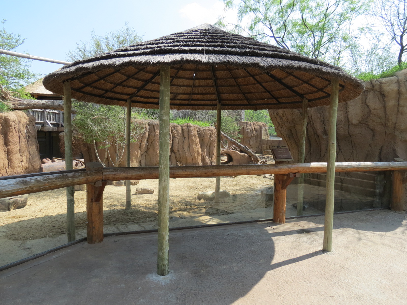 Giants of the Savanna - Donga 2 (Warthog Exhibit)