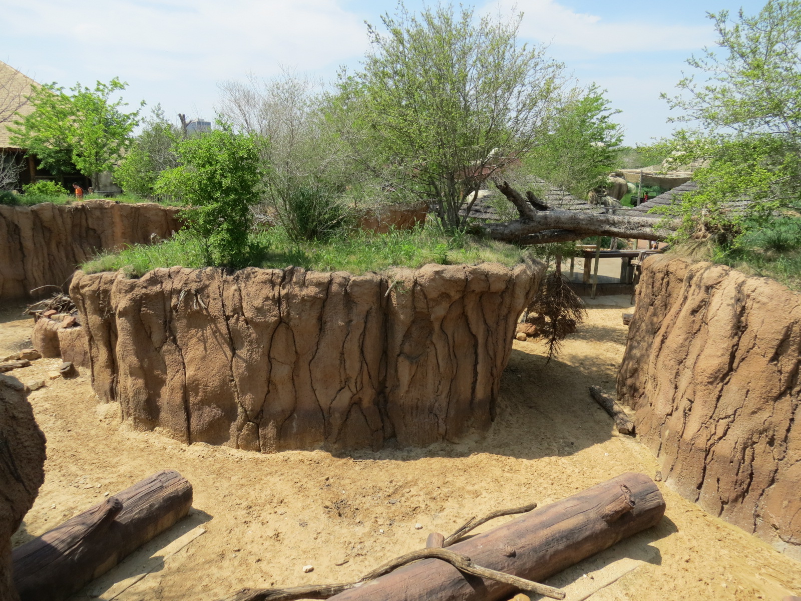 Giants of the Savanna - Donga 2 (Warthog Exhibit)