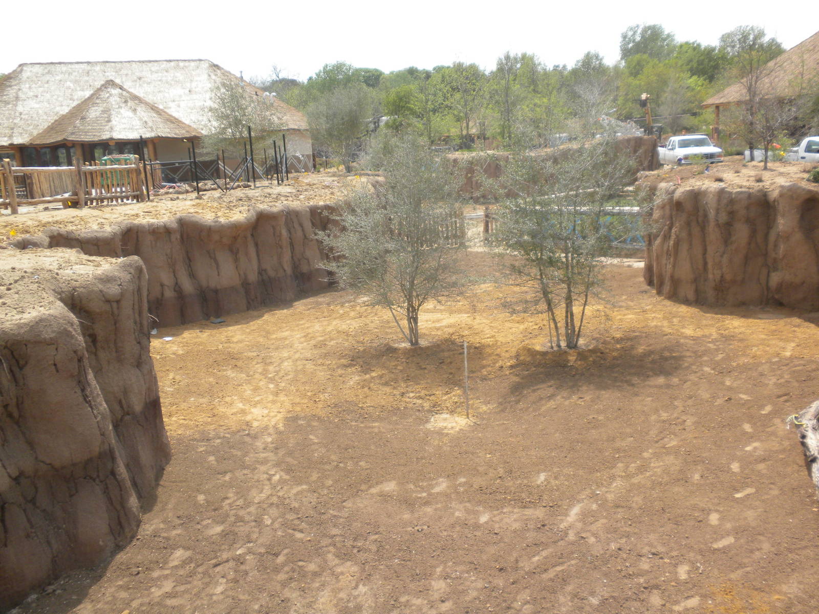 Giants of the Savanna - Donga