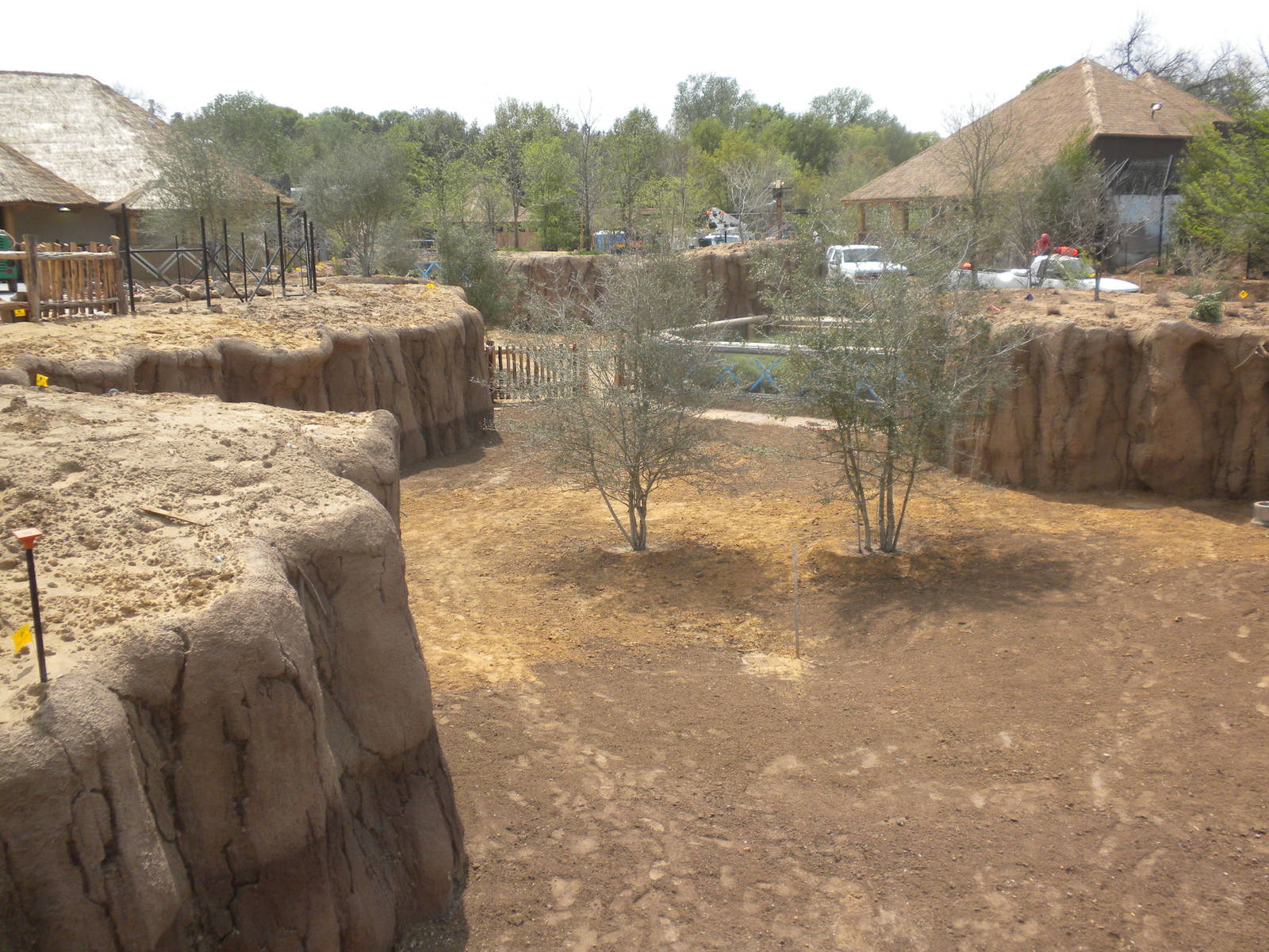 Giants of the Savanna - Donga