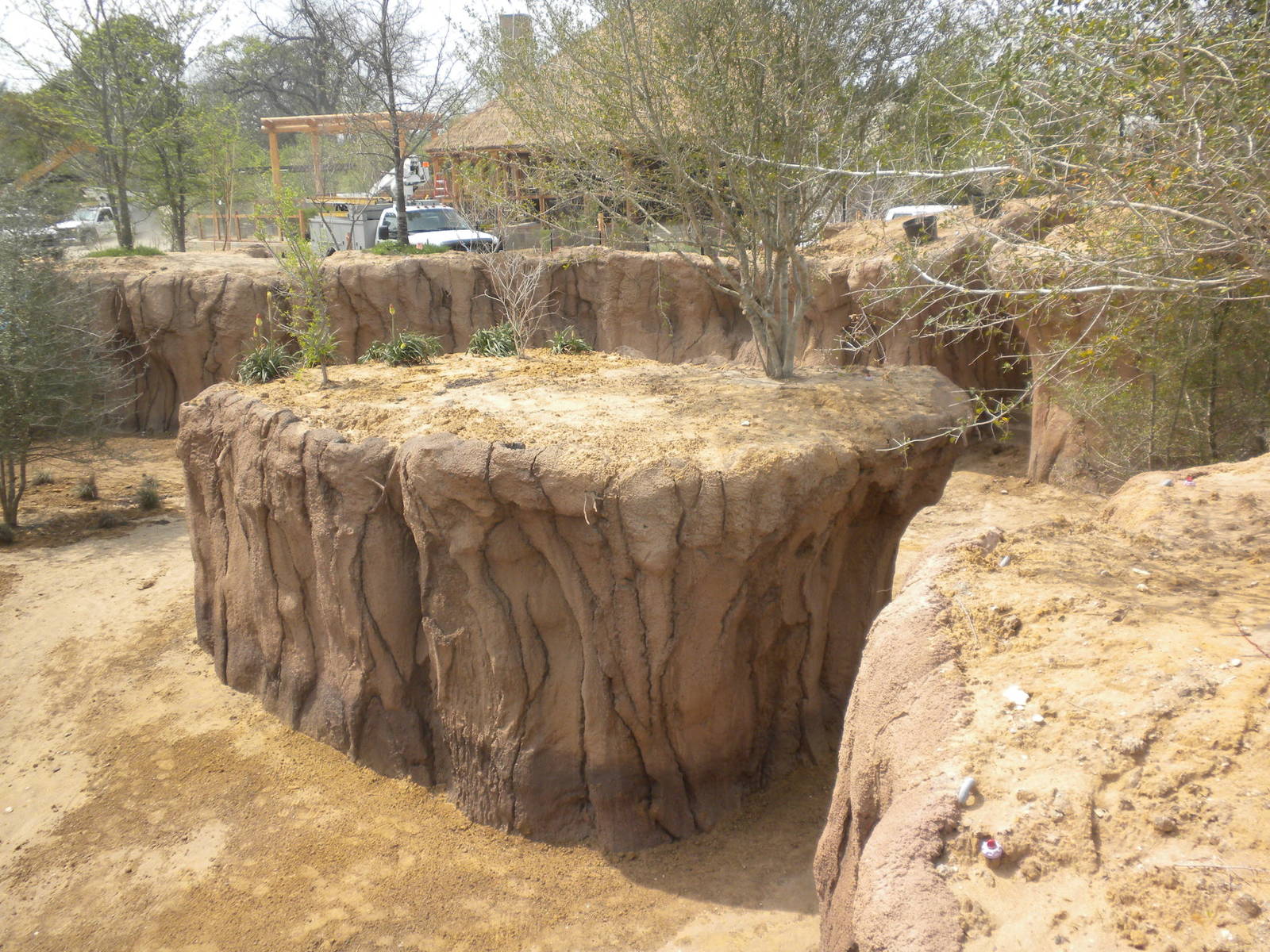 Giants of the Savanna - Donga