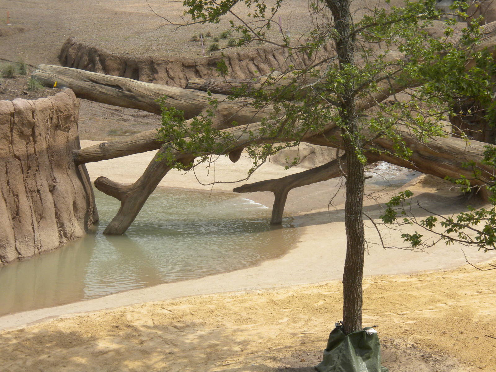 Giants of the Savanna - exhibit barrier