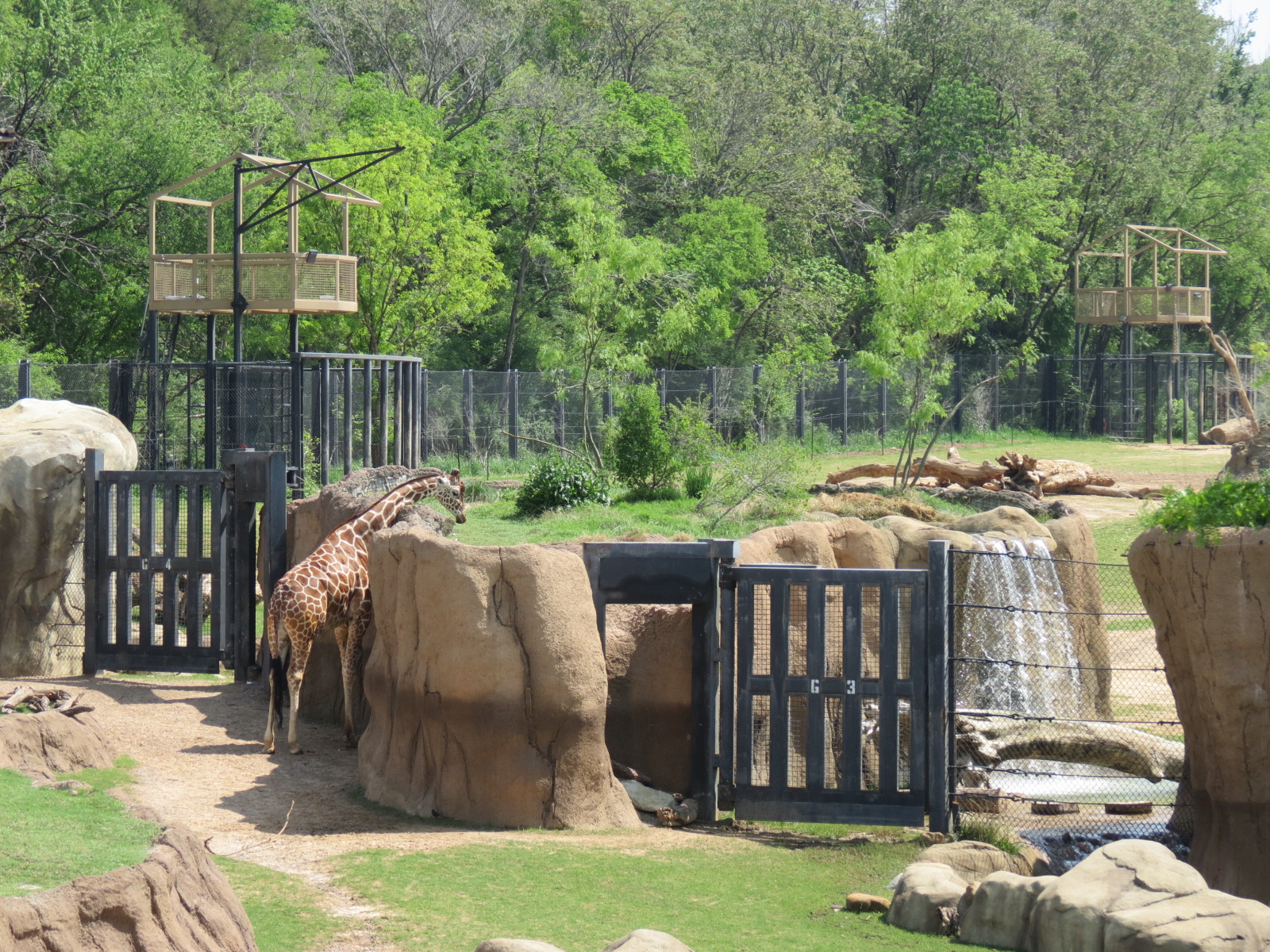 Giants of the Savanna - Gates between North and South Habitats