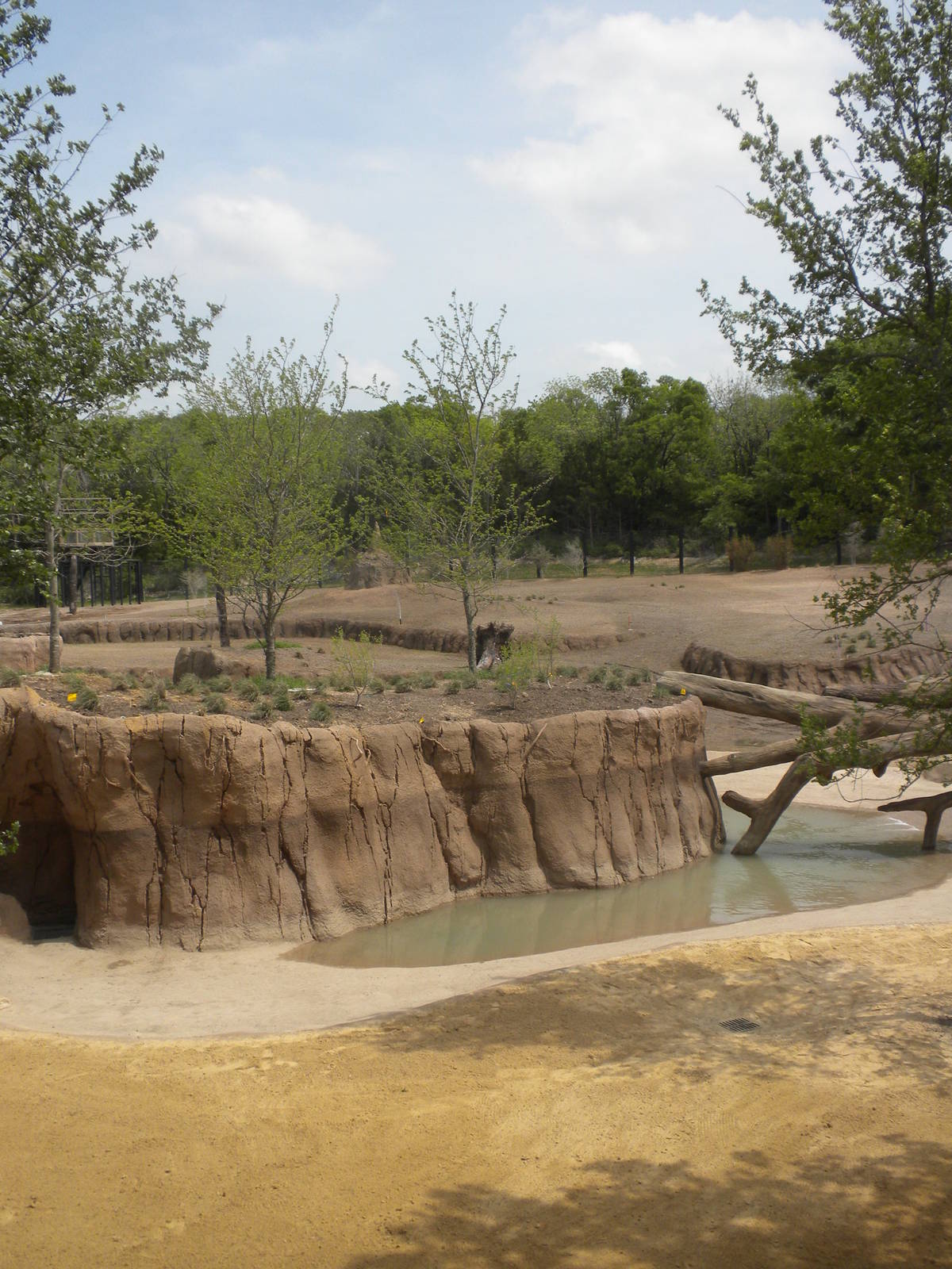 Giants of the Savanna - Giraffe area and North Habitat