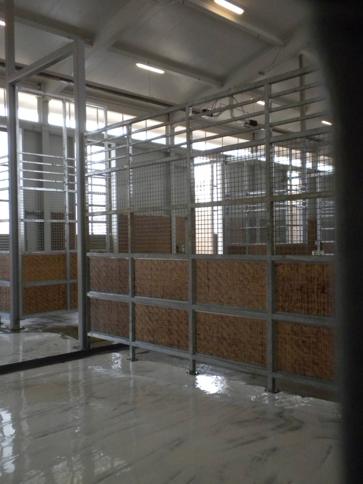 Giants of the Savanna - Giraffe barn