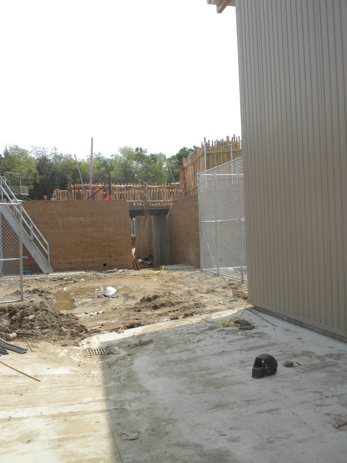 Giants of the Savanna - Giraffe drawbridge