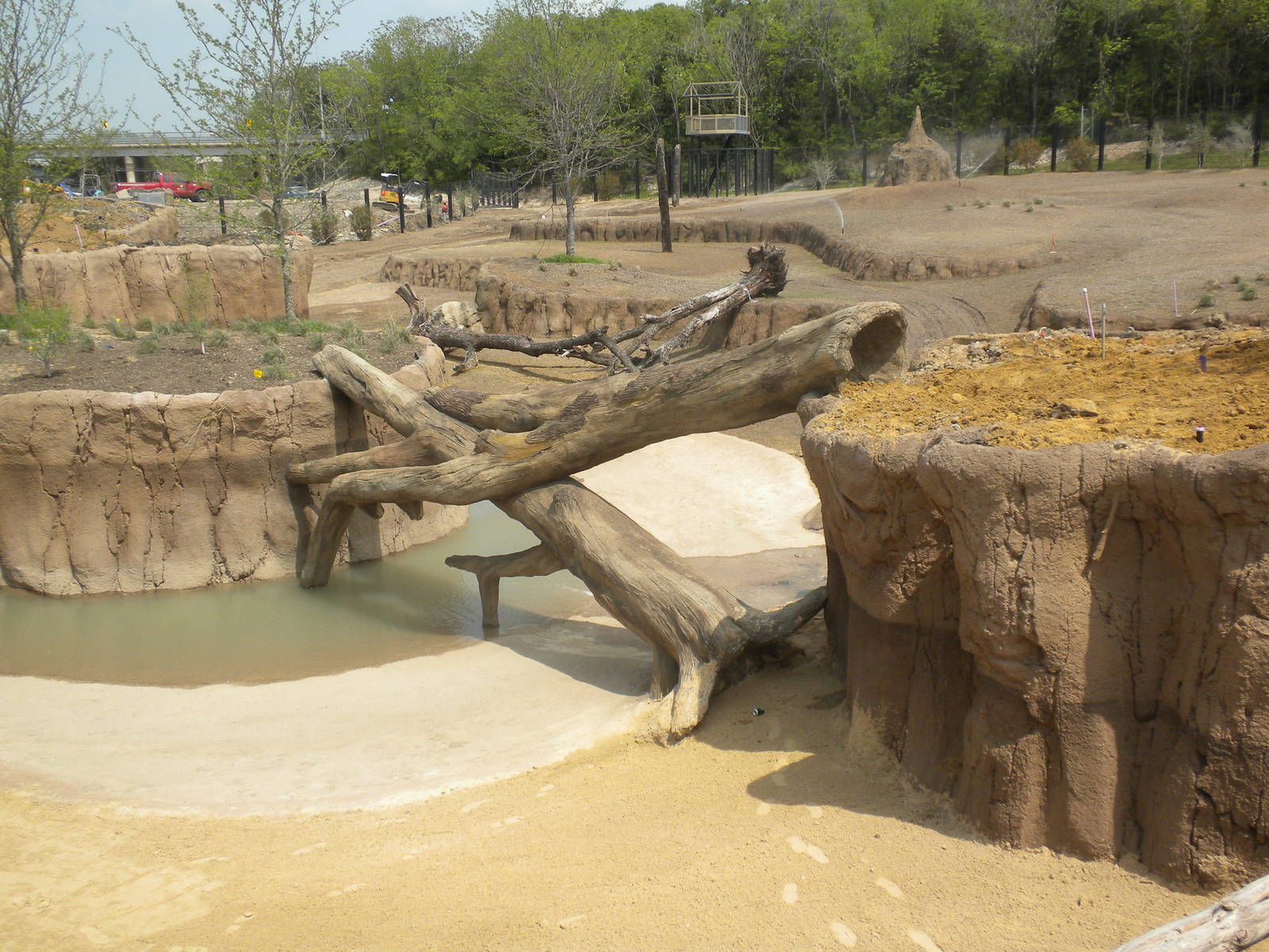 Giants of the Savanna - Giraffe feeding area and North Habitat