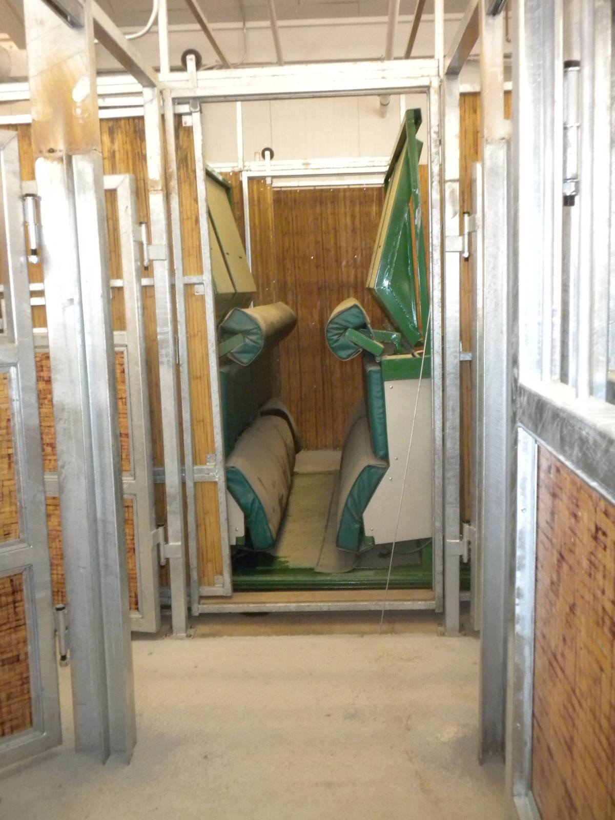 Giants of the Savanna - Hoofstock Barn squeeze chute