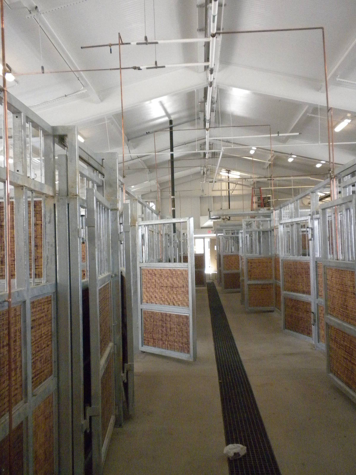 Giants of the Savanna - Hoofstock Barn