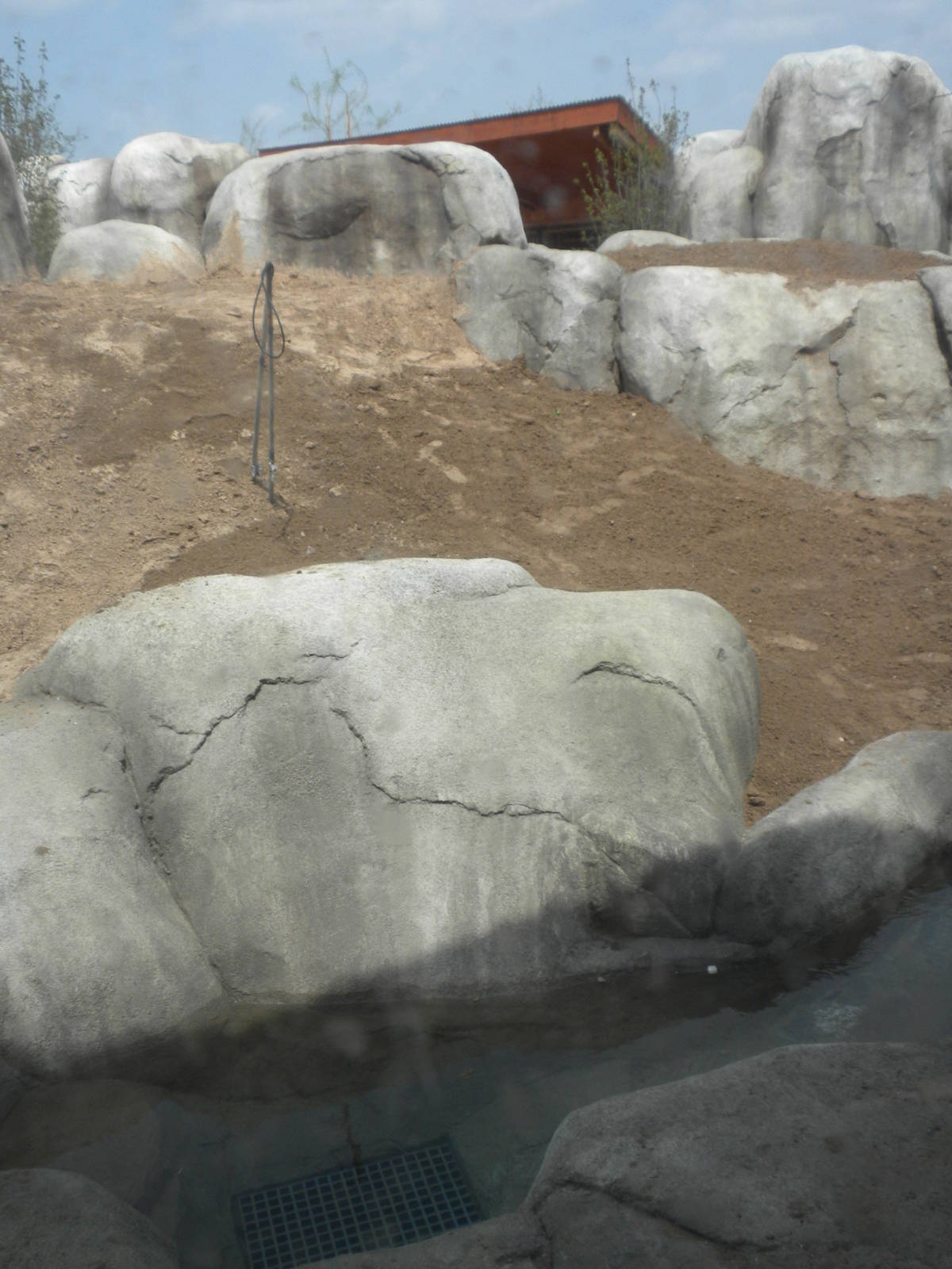 Giants of the Savanna - Lion exhibit