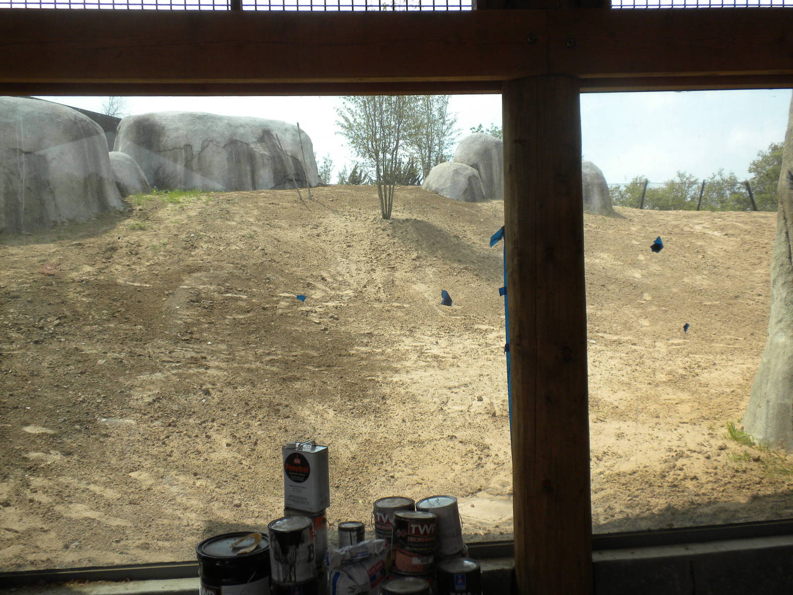 Giants of the Savanna - Lion exhibit