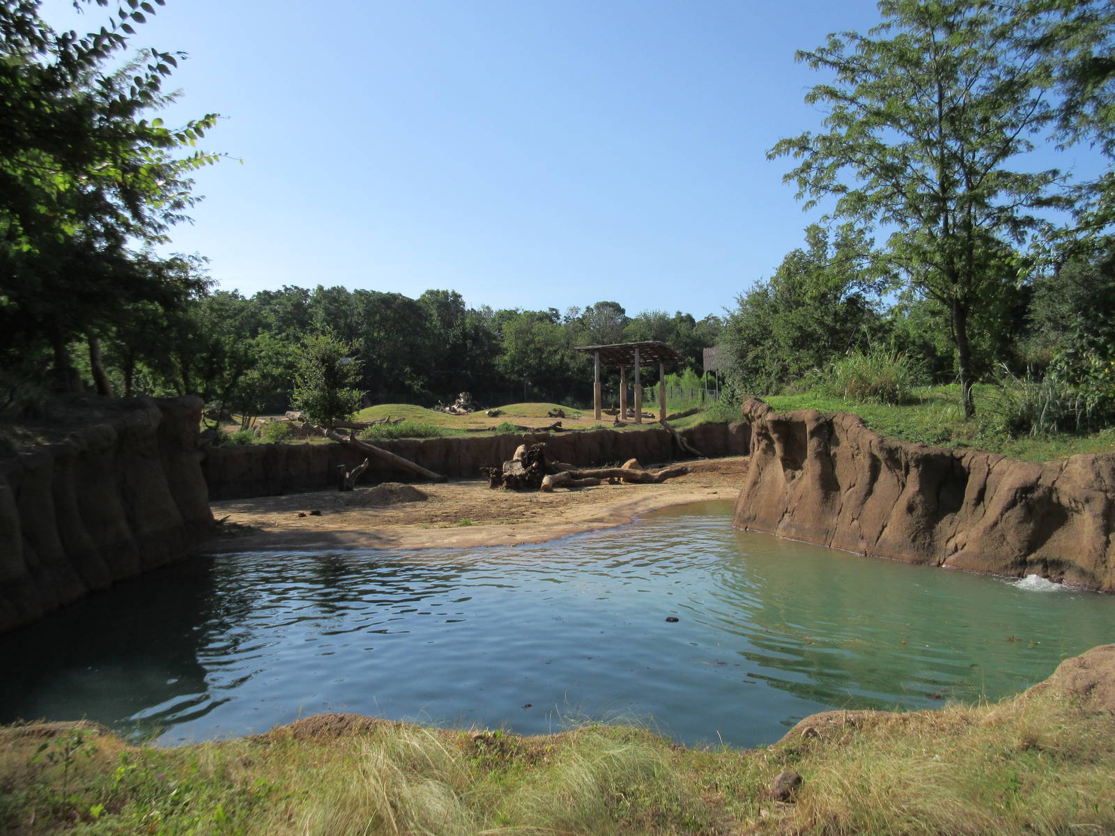 Giants of the Savanna - Main Yard