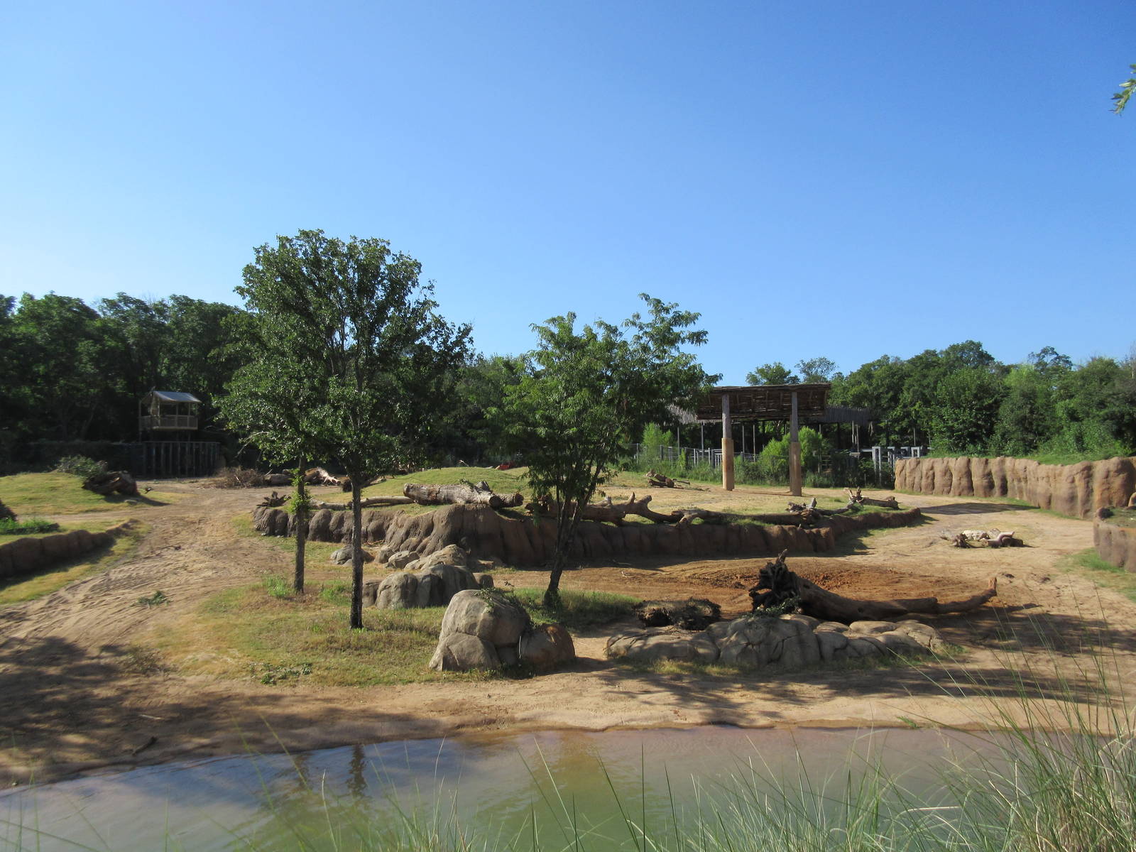 Giants of the Savanna - Main Yard