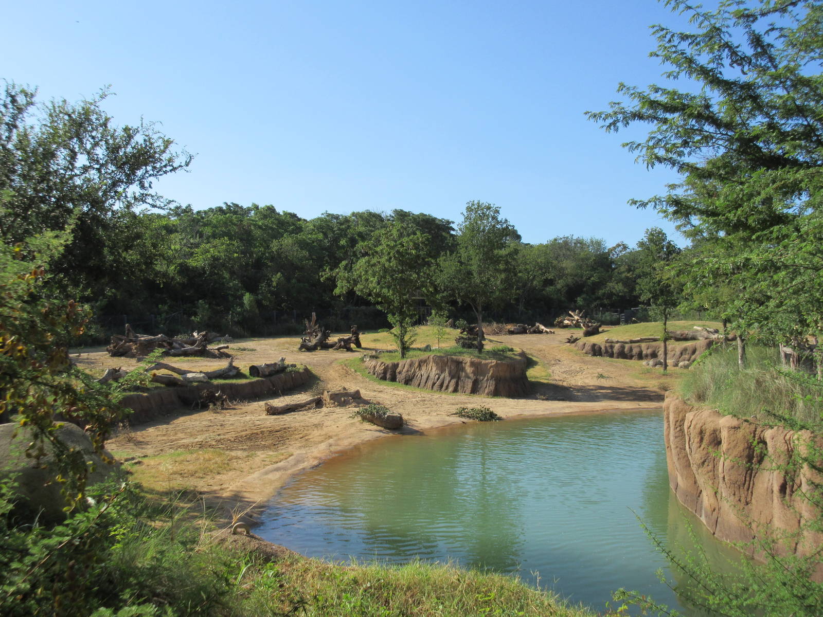 Giants of the Savanna - Main Yard