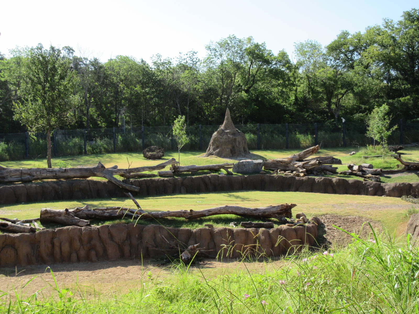 Giants of the Savanna - Main Yard